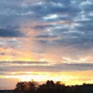 Meet your Posher, Hoboky